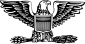 Colonel